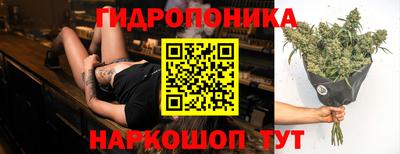 сатива Канаш