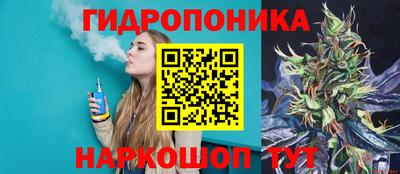 ALPHA PVP Камышлов