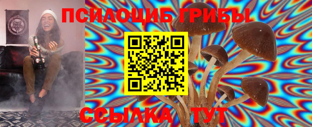 Псилоцибиновые грибы Psilocybine cubensis  Вход с VPN  Вятские Поляны  Галлюциногенные грибы GOLDEN TEACHER 